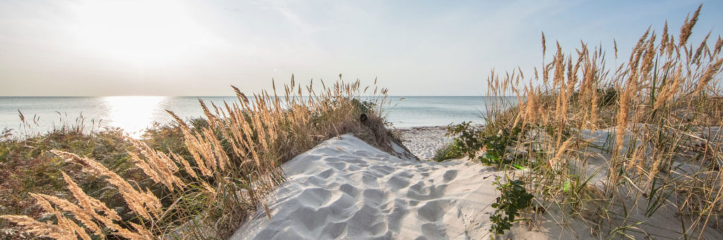 DuDüne am Strand von Dierhagen