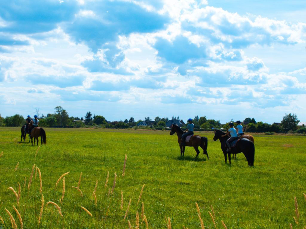 Ausritt nach Dändorf am Bodden