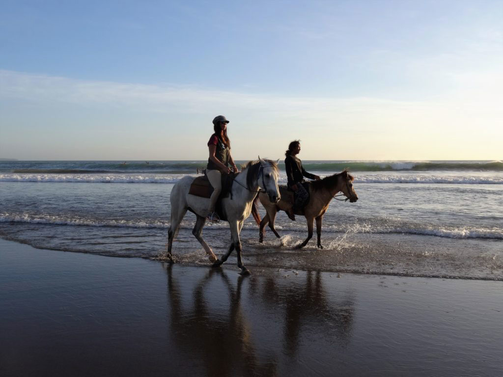 Mit Pferden am Strand